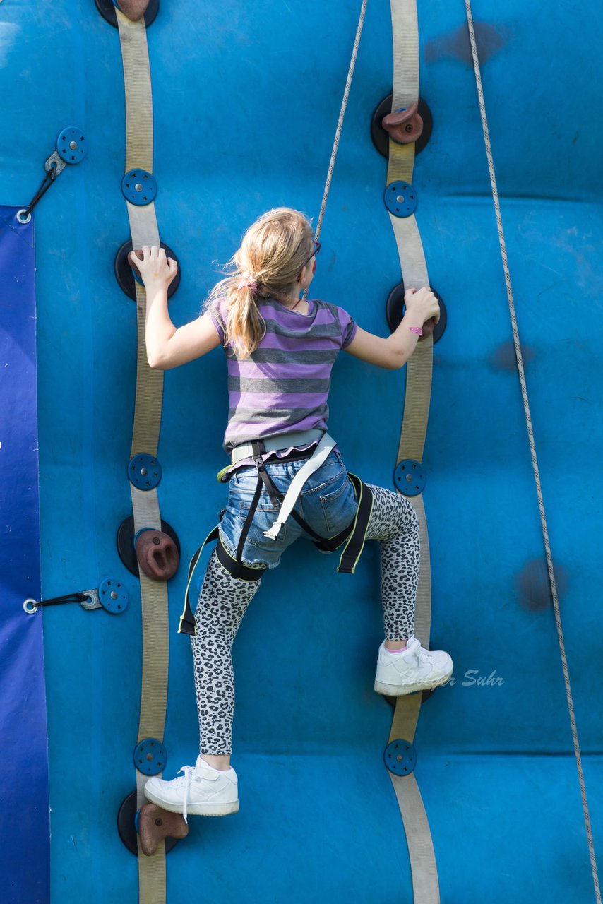 Bild 580 - Vogelschiessen